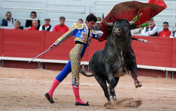 Buy professional bullfighting banderillas